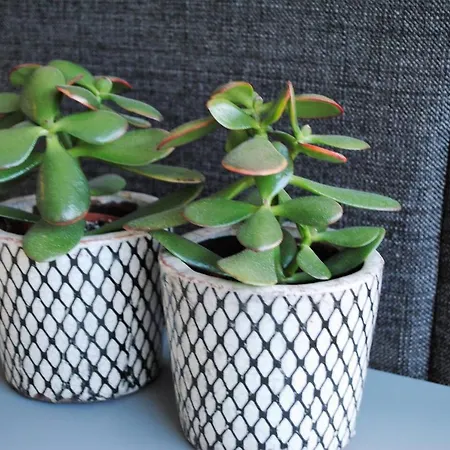 Modern, Gezellig Met Ruim Terras En Garage In *