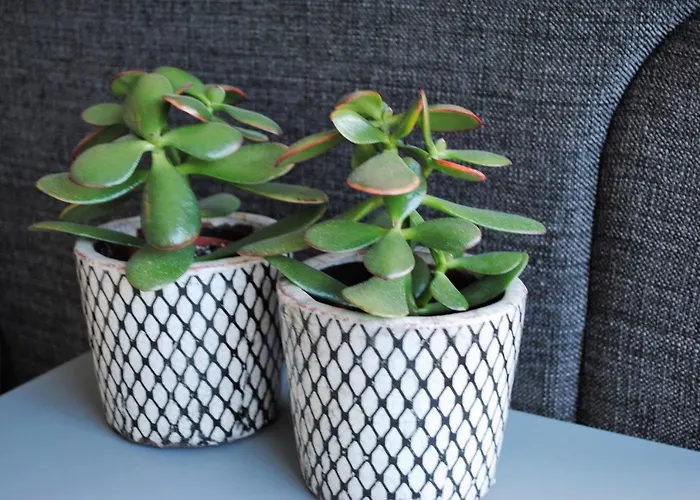 Modern, Gezellig Met Ruim Terras En Garage In *